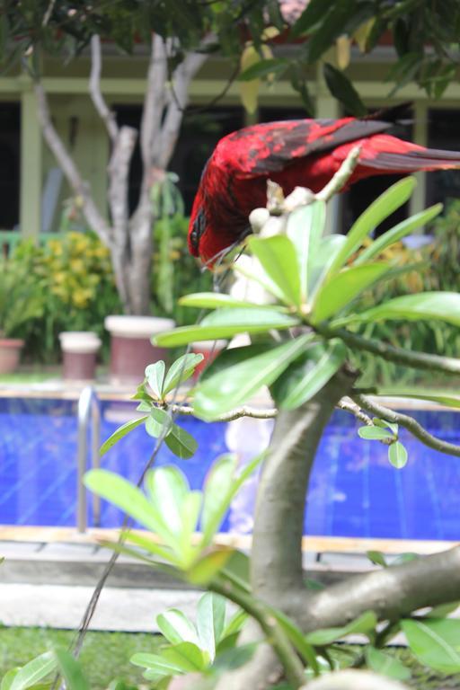 Hotel Puri Nusantara Kuta Lombok Eksteriør bilde